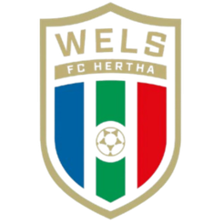 赫塔韦尔斯首发阵容