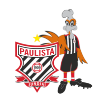 圣保罗市青年队首发阵容