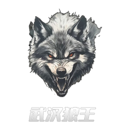 武汉狼王首发阵容