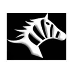 武汉斑马首发阵容