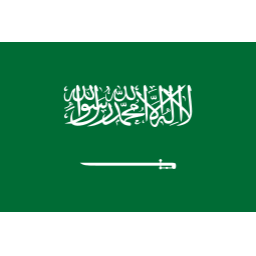 沙特U17首发阵容